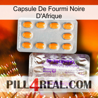 Africa Black Ant Capsule new12